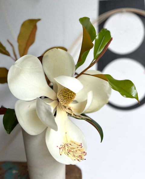 The bright leaves bursting from rich soil...